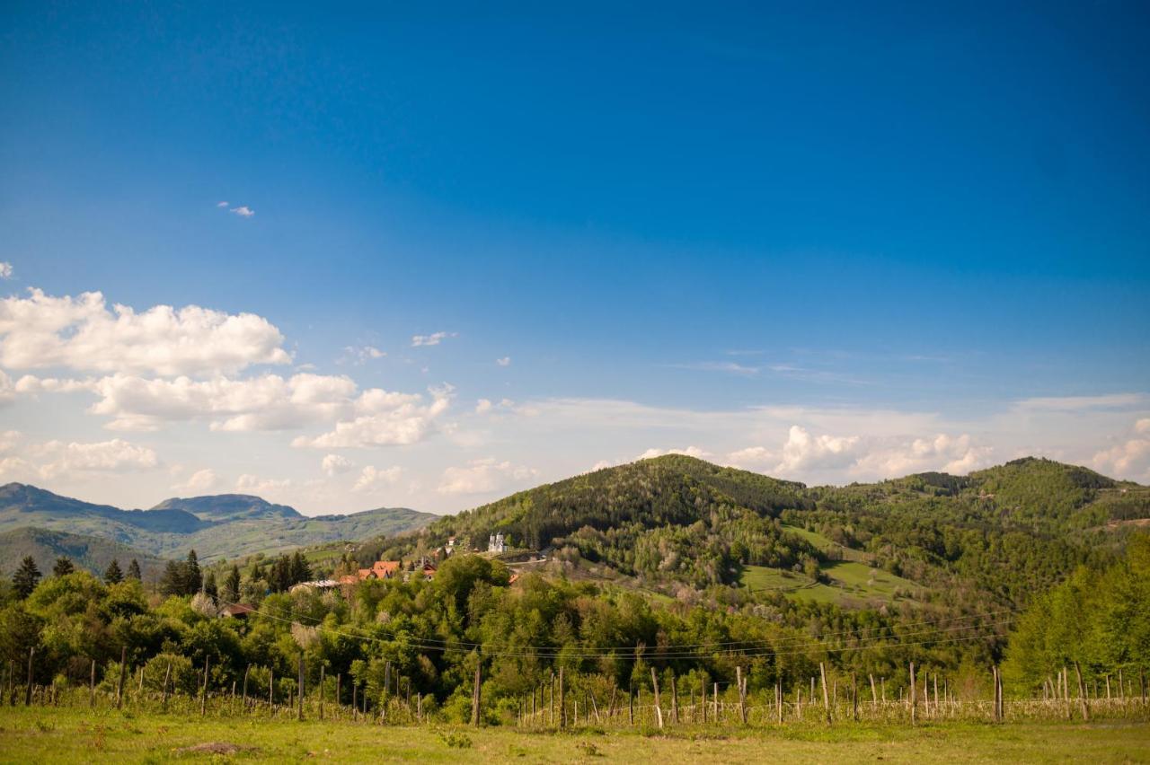 Vila Angelina Kušići Екстериор снимка